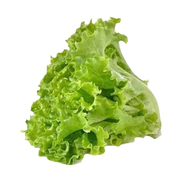 Kıvırcık Adet