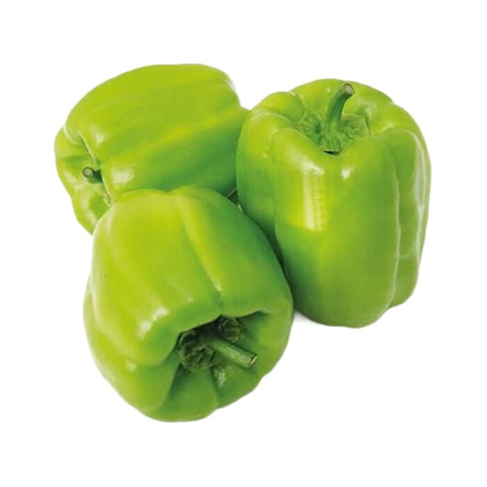 Dolma Biber Kg