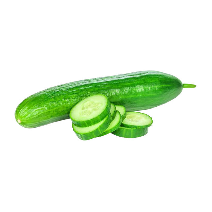 Salatalık Kg