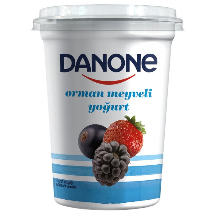 Yoğurt Orman Meyveli 400 Gr